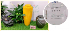 3499拉斯维加斯在行动，节地生态葬的研发与推广