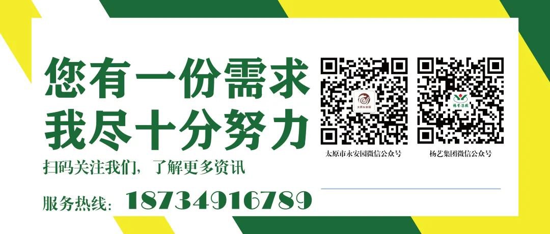 1-23112FU644c6 首页|3499拉斯维加斯集团官方网站