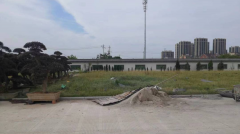 老墓园微刷新，助力城市人文关切