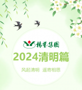 风起清明 遥寄相思|3499拉斯维加斯集团?2024清明篇