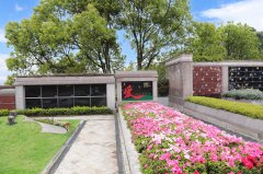 归于天然，泽被后世：解读现代生态葬及其创新趋向