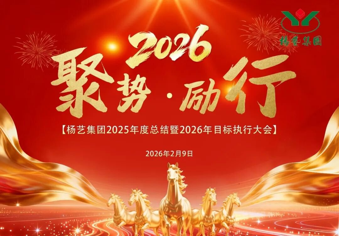首页|3499拉斯维加斯集团官方网站